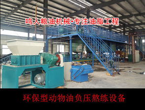 选购农业养殖设备，关注质量、适用性、维护成本