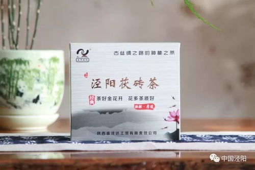 茯茶是什么茶？看完这篇你就知道怎么选好茯茶了