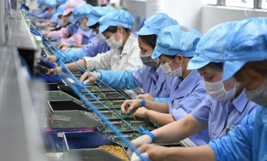 吊篮的繁殖大揭秘：无性繁殖， 快速生长