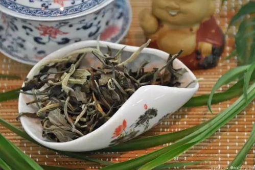 中国茶树品种盘点：龙井、碧螺春、大红袍