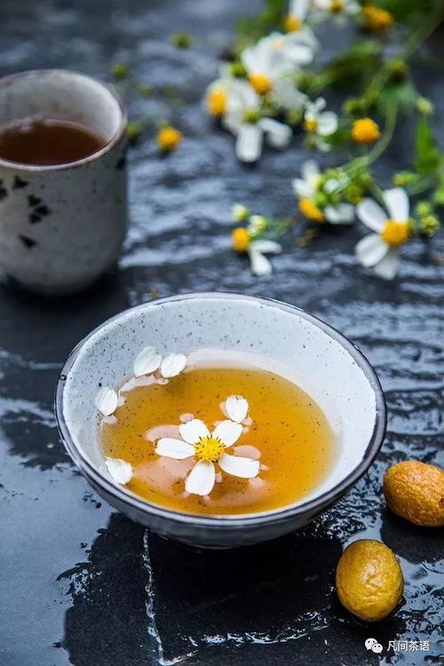 槐花茶养生又解渴，喝出自然好味道！