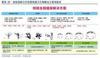 龙头的农药制剂上市公司，你知道几家？