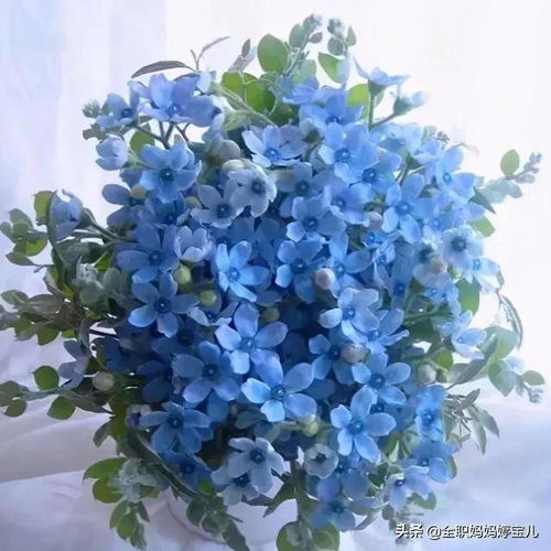蓝色花朵品种繁多，你最喜欢哪一种