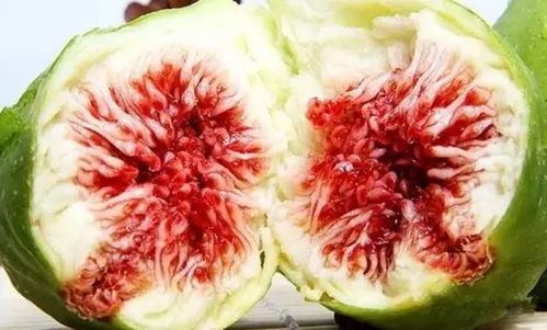 高清无花果图片大全，你get到它的美味了吗