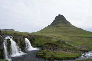 瑞士高海拔草品种大盘点