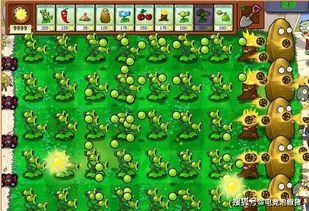 花草树木奇观里的神秘守护者