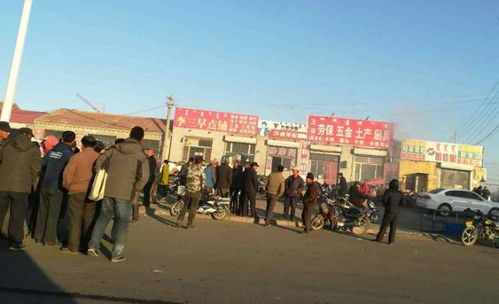 贝力克牧场：自然与人的和谐画卷