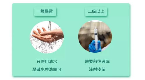 挤压伤口与消毒处理