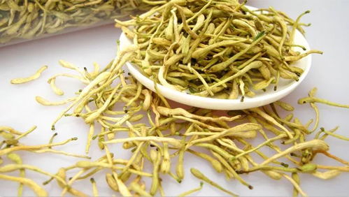 金银花果实能否直接食用？