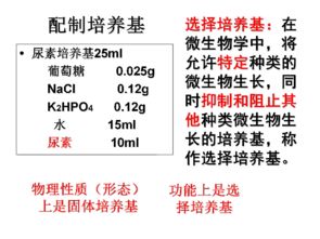 猪饲料能氮比高，加入尿素作为氮源是否合适？