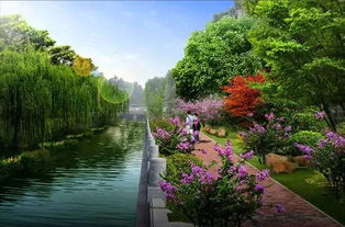 翠湖街道的绿意篇章