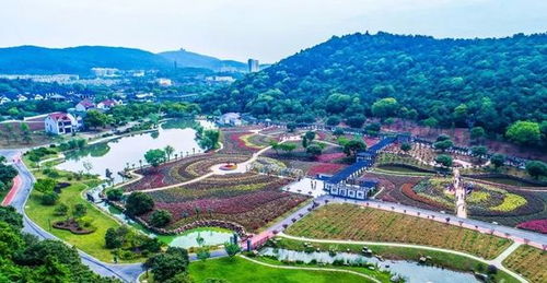 分色块种植， 浪漫花园