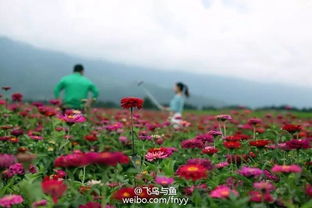 老年人旅游优惠政策