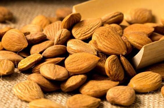 日常种植注意事项