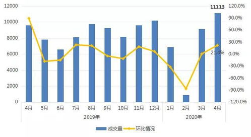 南京橙子市场均价较去年上涨20%
