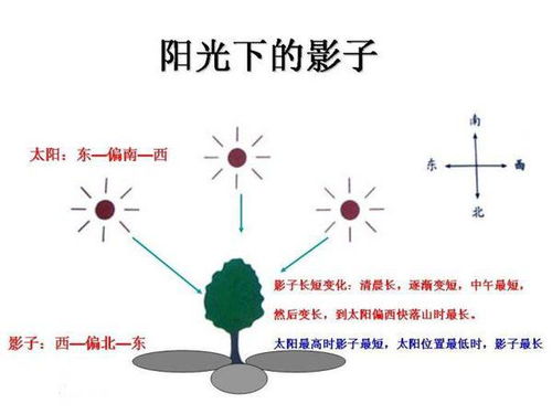 为什么打农药要在早上或下午进行？