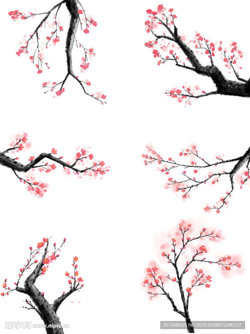 梅花品种大全：梅花图片与名称尽在此