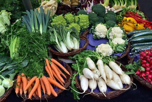寒潮来袭，黄瓜、芸豆、茼蒿等蔬菜价格飙升