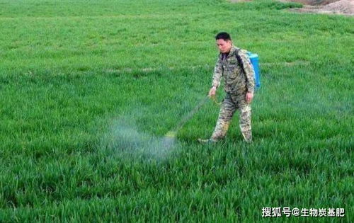 下地时间有讲究