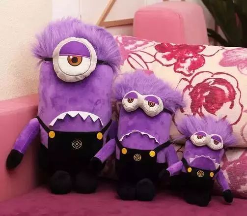 荷包花花色多，单复色dou有你爱的