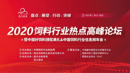 中国饲料论坛和中国饲料行业信息网在饲料行业取得了哪些卓越成就？
