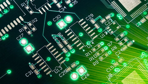 湖南茶油收购潮：江山沁园茶油价格飙升！