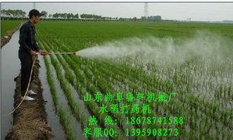 5.选择超低容量喷雾器喷雾。因其浓度高，雾滴细，易被作物吸收，可减少损失。