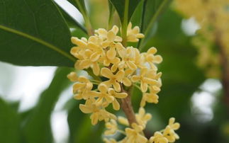 养护不当的四大原因