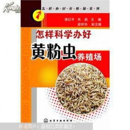 黄粉虫养殖与贮运技术，关注虫种繁殖、饲料配比及储存条件