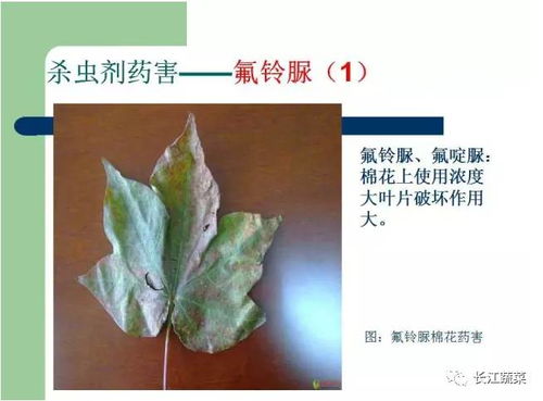 农田里的“救命药”