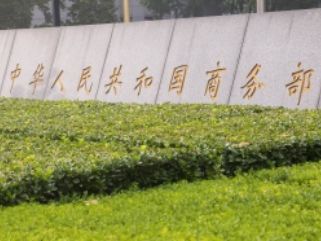 “爆款花卉！狼尾草大图鉴赏，新闻热点不容错过”