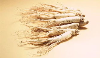 赵师傅的教训：紫色小花不可小觑