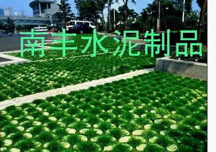 草种性嫩对比：常见品种实测数据