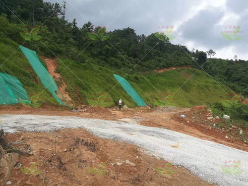 新手指南：先从糙汉子练手