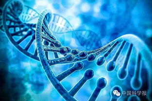 先正达是什么公司