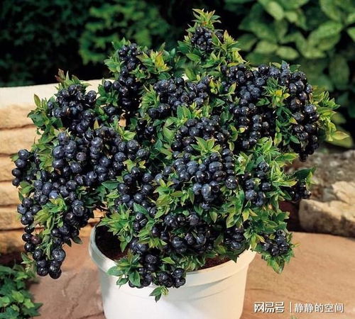 养护成本也影响价格