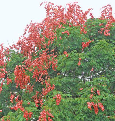 地理差异造就不同