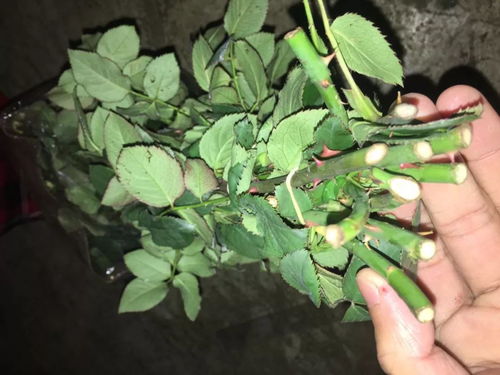 购买时段优惠大放送