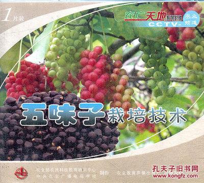五味子种植技术，涉及选地、播种、施肥、病虫害防治等环节