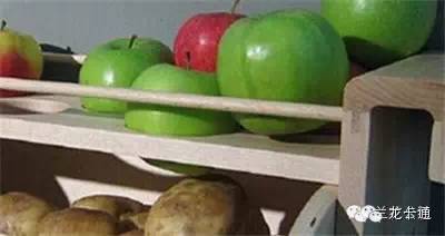 提升花卉保鲜技巧：简易干果贮藏法大揭秘