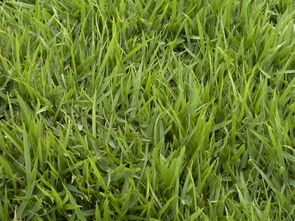 种子种植那些事儿