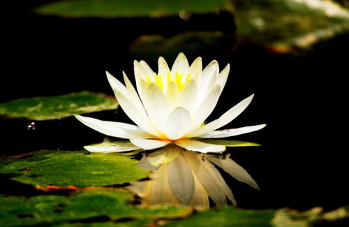 模拟睡眠状态的智慧