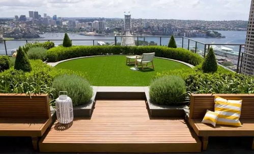 哎呀， 忘了说了还有个香樟树的故事