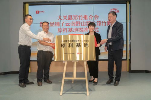 揭秘江西茶油苗价格：光山基地直通电话，品质卓越！