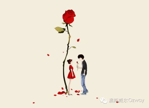 11支玫瑰寓意着真挚感情，代表对爱人的深情厚意
