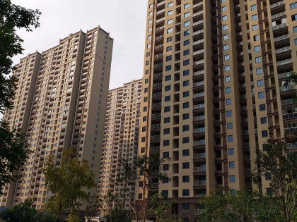 金雀梅花开时间是什么时候？常见的金雀梅品种有哪些特点