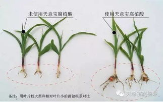 关键三步骤，省心又省力