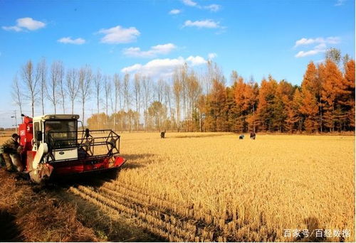 农业养殖需协调：人地关系、种养平衡、市场供需、技术更新、环保合规