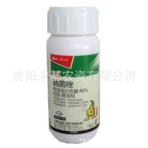 3.山东德盛化工有限公司