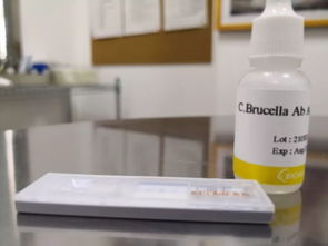 对宠物和环境平安吗？